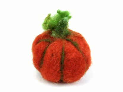 Pumpkin Needle Felt Pack - The Makerss